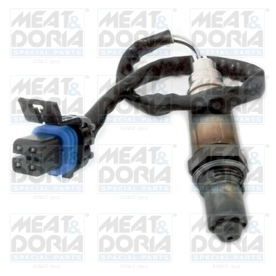 Oxygen Sensor